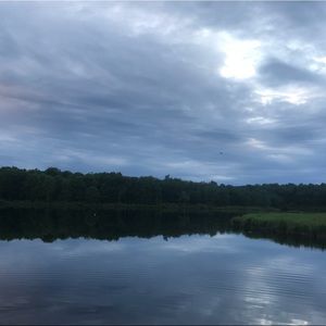 Meet your Posher, Isabella